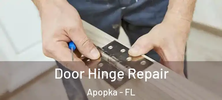  Door Hinge Repair Apopka - FL