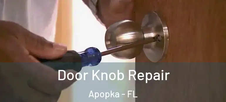 Door Knob Repair Apopka - FL