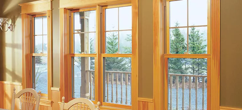 Government Incentives For Replacement Windows in Apopka, FL