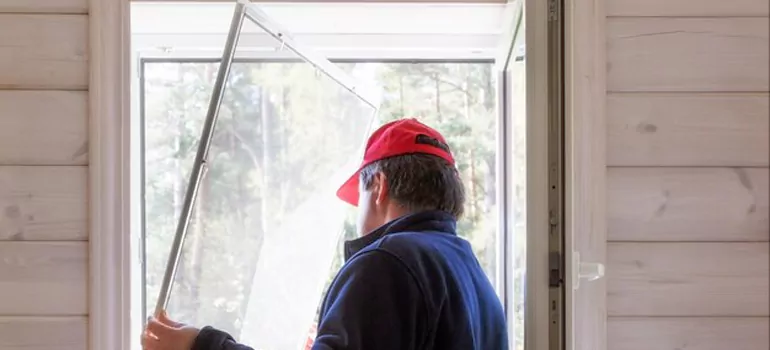Expandable Window Screen Installation in Apopka, FL