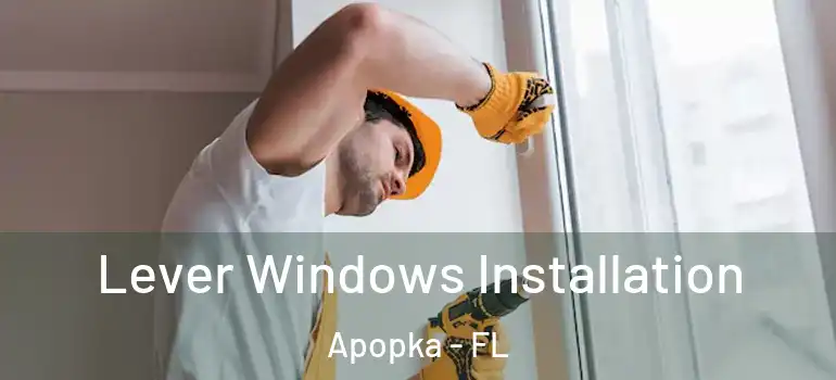  Lever Windows Installation Apopka - FL