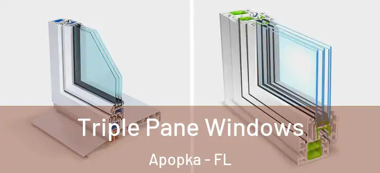  Triple Pane Windows Apopka - FL