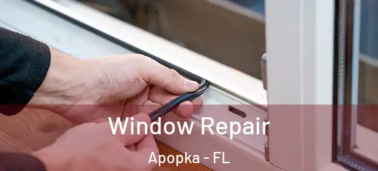  Window Repair Apopka - FL